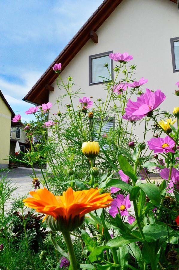Haus Rosy Ferienwohnung Stubenberg Εξωτερικό φωτογραφία